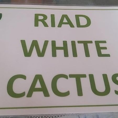 Riad White Cactus Marrakesh Exterior foto